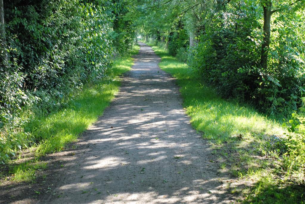 Gasthof Brinkmeier Lippstadt Eksteriør billede